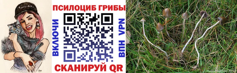 Псилоцибиновые грибы MAGIC MUSHROOMS  Агрыз 